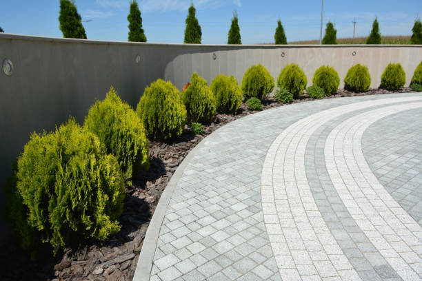 Best Commercial Driveway Pavers  in Healdsburg, CA